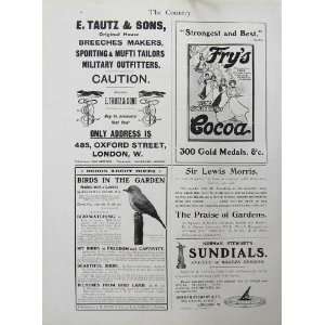   1902 Advertisement FryS Cocoa Sundials Birds Tailors
