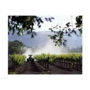 PVT/Superstock SAL422525A Tractor in a field, Napa Valley, California 