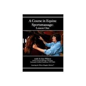  Equine Sports Massage DVD by Jo Ann Wilson