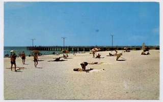 CLEARWATER BEACH FL old Fishing Pier Sunbathers postcar  