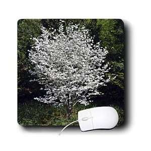   Scenes   White Tree against Green Trees   Mouse Pads Electronics