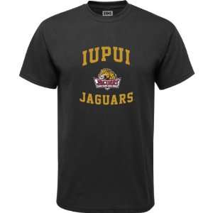    IUPUI Jaguars Black Youth Aptitude T Shirt