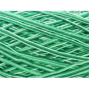  Free Ship Variegated Green #10 Crochet Cotton Thread Yarn 