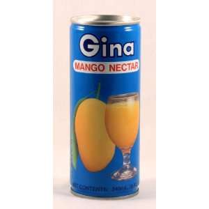 Gina Mango Nectar 240ml  Grocery & Gourmet Food