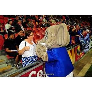  Soccer   Pre Season Friendly   Brisbane Roar v Everton 