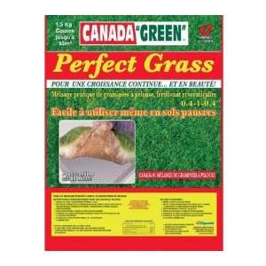  Canada Green Grass Seed Mix   Perfect Grass, 3.3 Lbs 