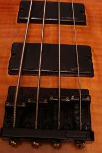   is spector electric bass w nice flight case used but in great