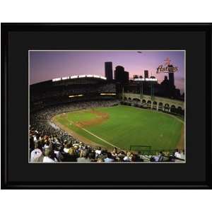  Houston Astros MLB Minute Maid Park Limited Edition 