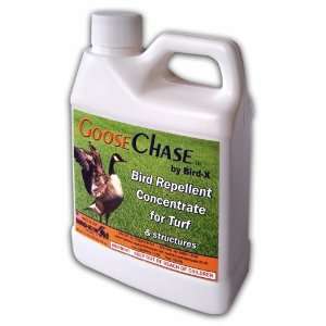  Bird X GC PT Goose Chase Goose Repellent Pint