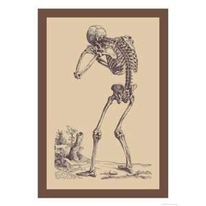  Bending Skeleton   Poster by Andreas Vesalius (12x18)