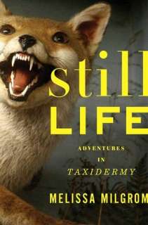   Still Life Adventures in Taxidermy by Melissa 