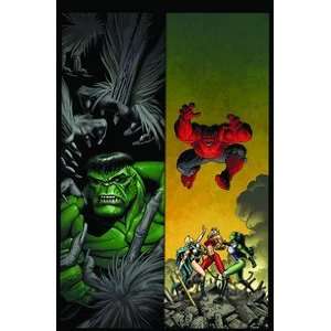 Hulk #7   Red Hulk JEFF LOEB, ED MCGUINNESS  Books