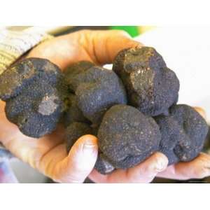  Truffle Hunter with Handful of Truffles at La Truffe De 