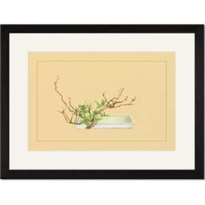  Black Framed/Matted Print 17x23, Plum and Chloranthus 