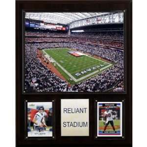  NFL Reliant Stadium Plaque