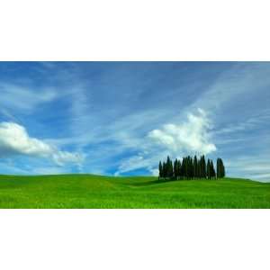  Tuscan Cyprus   Panoramic Wall Mural