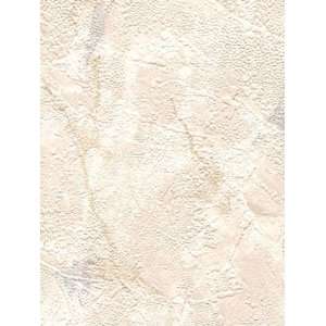 Wallpaper Patton Wallcovering Sponge Painted textures 