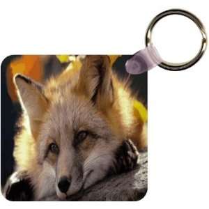  Baby Fox Close up Art Key Chain   Ideal Gift for all 