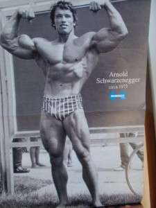   bodybuilding muscle fitness magazine/ARNOLD SCHWARZENEGGER 2 94  