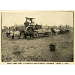 1907 Print Tulare California Sugar Beet Horse Wagon 