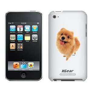  Pomeranian on iPod Touch 4G XGear Shell Case Electronics