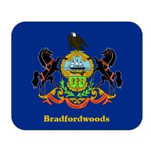   Flag   Bradfordwoods, Pennsylvania (PA) Mouse Pad 