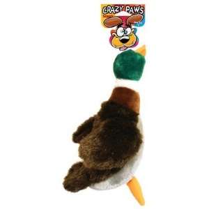  Crazy Paws Plush Duck with Squeaker Toy (Quantity of 4 