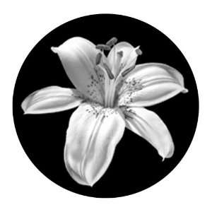  Lily   Super Resolution Gobo