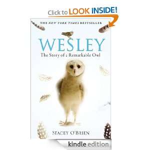 Start reading Wesley  