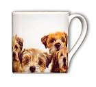 China mug with a Border Terrier design by Paul Doyle. Borderline
