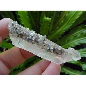   Gemqz Quartz Loose Point with Barnicles Beauty  
