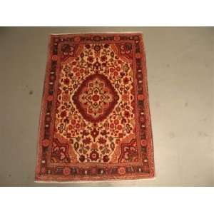 2x3 Hand Knotted JOZAN Persian Rug   22x32