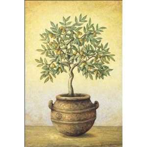  John Park   Green Olive Tree Canvas