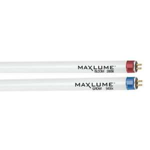  Maxlume 4 T5 HO 2800K Bulbs   Case of 25