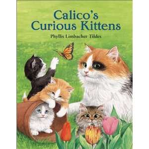   Kittens (Charlesbridge) [Hardcover] Phyllis Limbacher Tildes Books