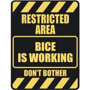   RESTRICTED AREA BICE IS WORKING  PARKING SIGN