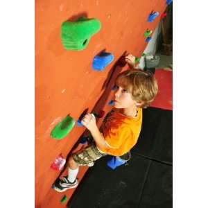     10 Gray Bolt on Kids Beginner Climbing Holds
