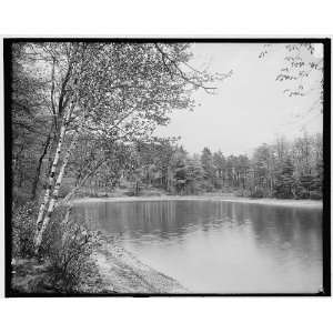  Thoreaus cove,Lake Walden,Concord,Mass.