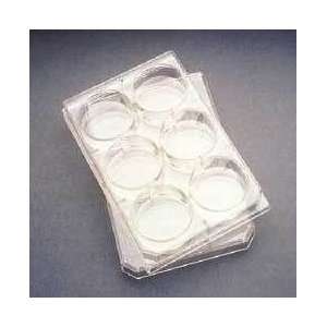   Multiwell Flat Bottom Plates with Lids, Sterile, BD Biosciences 353072