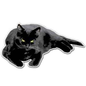  Black Cat Lucky Car Bumper Sticker Decal 6x3 Everything 