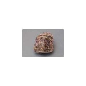  Individual Mineral Specimen Quartz, Amethyst, Massive, 10 