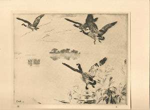   Benson Drypoint Etching Morning Geese Copy Approved by Benson  