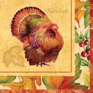  Settlers Feast Thanksgiving Luncheon Napkins 16 Per Pack 