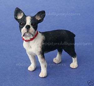 Miniature Dollhouse Boston Terrier Dog New In Box  