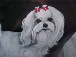 WHAT A MALTESE BETTER IN REAL HANDPAINTED BY MONIQUE ON A 