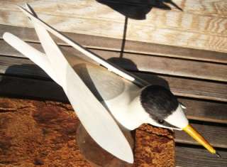 1996 Original Hand Carved Wood LEAST TERN Shorebird Duck Decoy Signd 