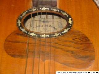  Italian mandola ? Fernando del Perugia / Schmidl 1898 big mandolin