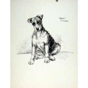  Dog Sketch Drawing Pencil Hound Naturalist Memory 1936 