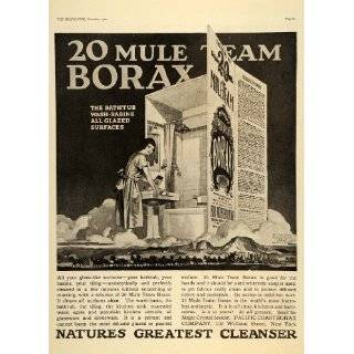 1922 Ad Pacific Coast Borax 20 Mule Team Harry Lees Death Valley 