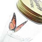 Butterfly in Glass Jar with Lid Cute Gift Monarch Toy R